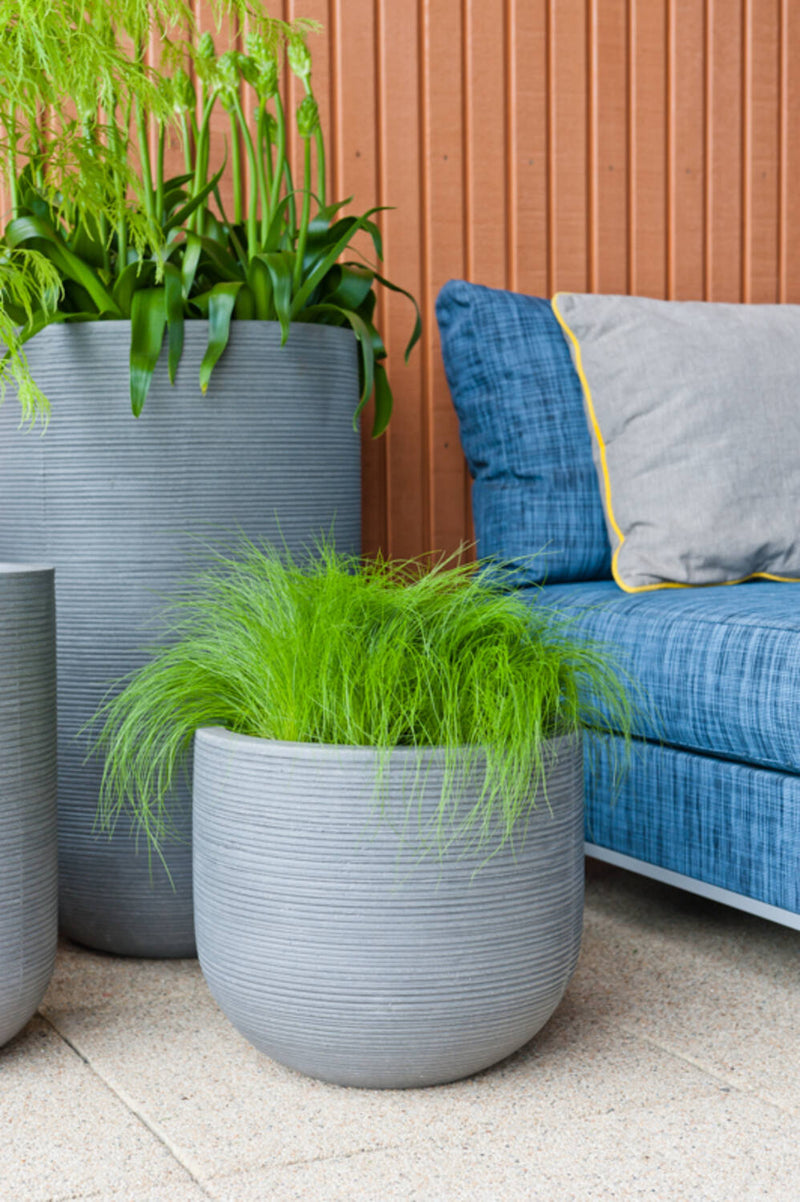 Pottery Pots Cody Horizontal ridged pot with a tall ridged pot behind it. Both planted and sitting next to a blue sofa