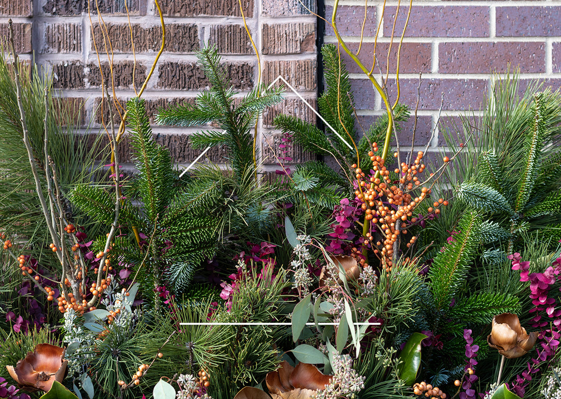 A mix of holiday greens in a planter created by Sprout Home including evergreen and berried branches. 