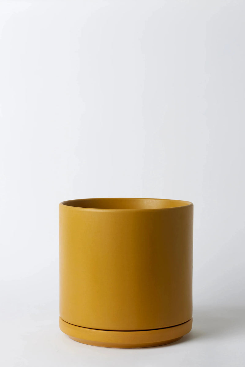 LBE Design Solid Goods Cylinder and saucer pot in Mustard.