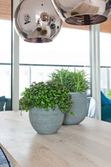 Two different sizes of the Cody Pot with Horizontal Ridges planted and sitting o a wooden table with mirrored lights above.