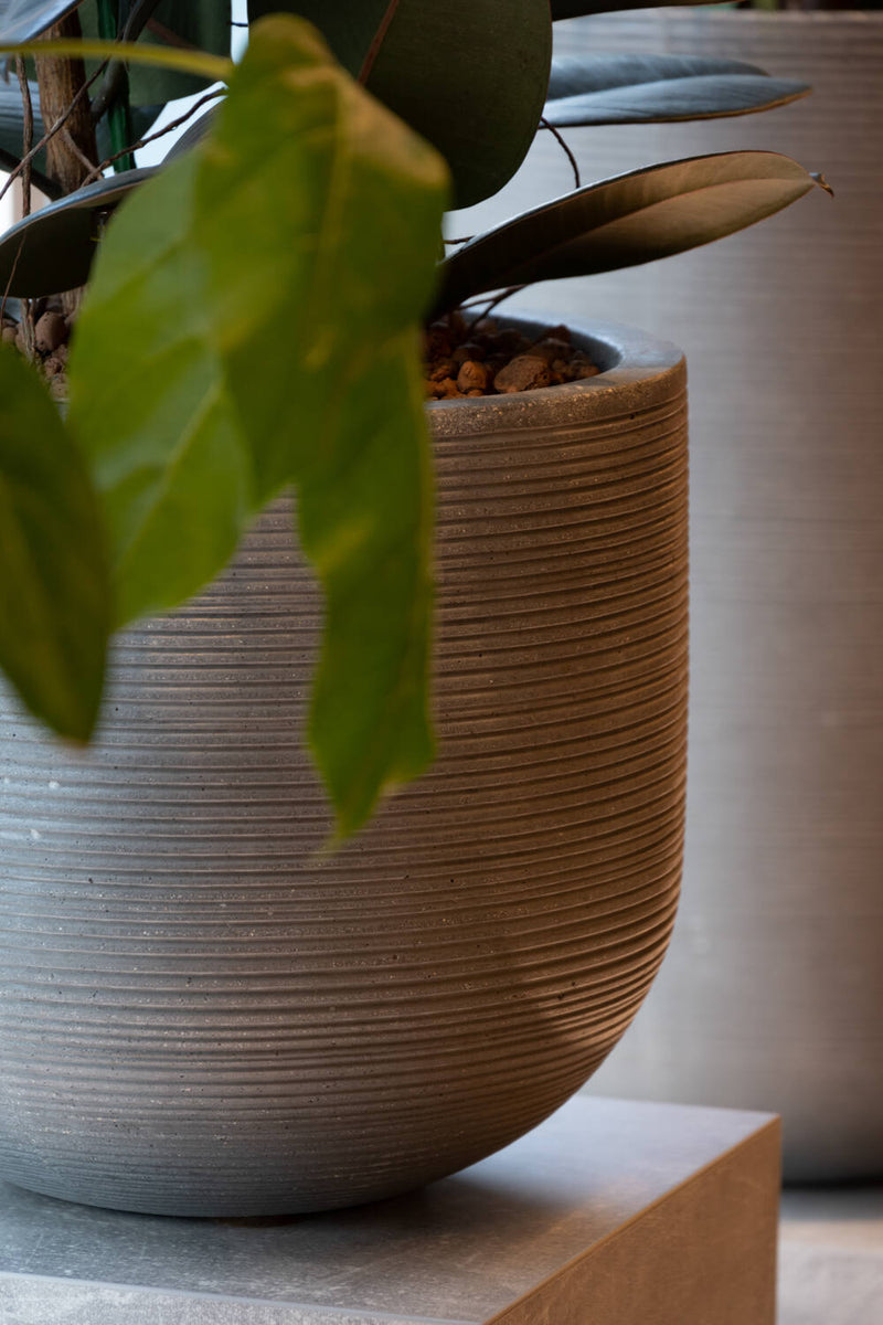 Pottery Pots Cody Pot dark grey with vertical ridges detail of the side and bottom with a plant inside.