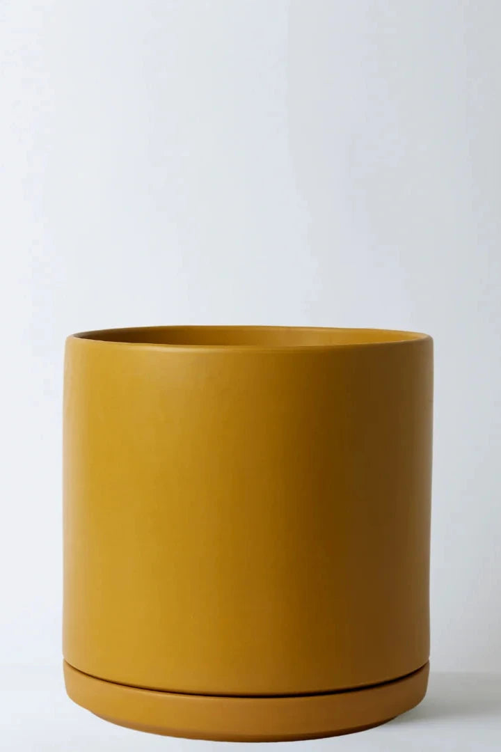 LBE Design Solid Goods Planter with saucer in Mustard