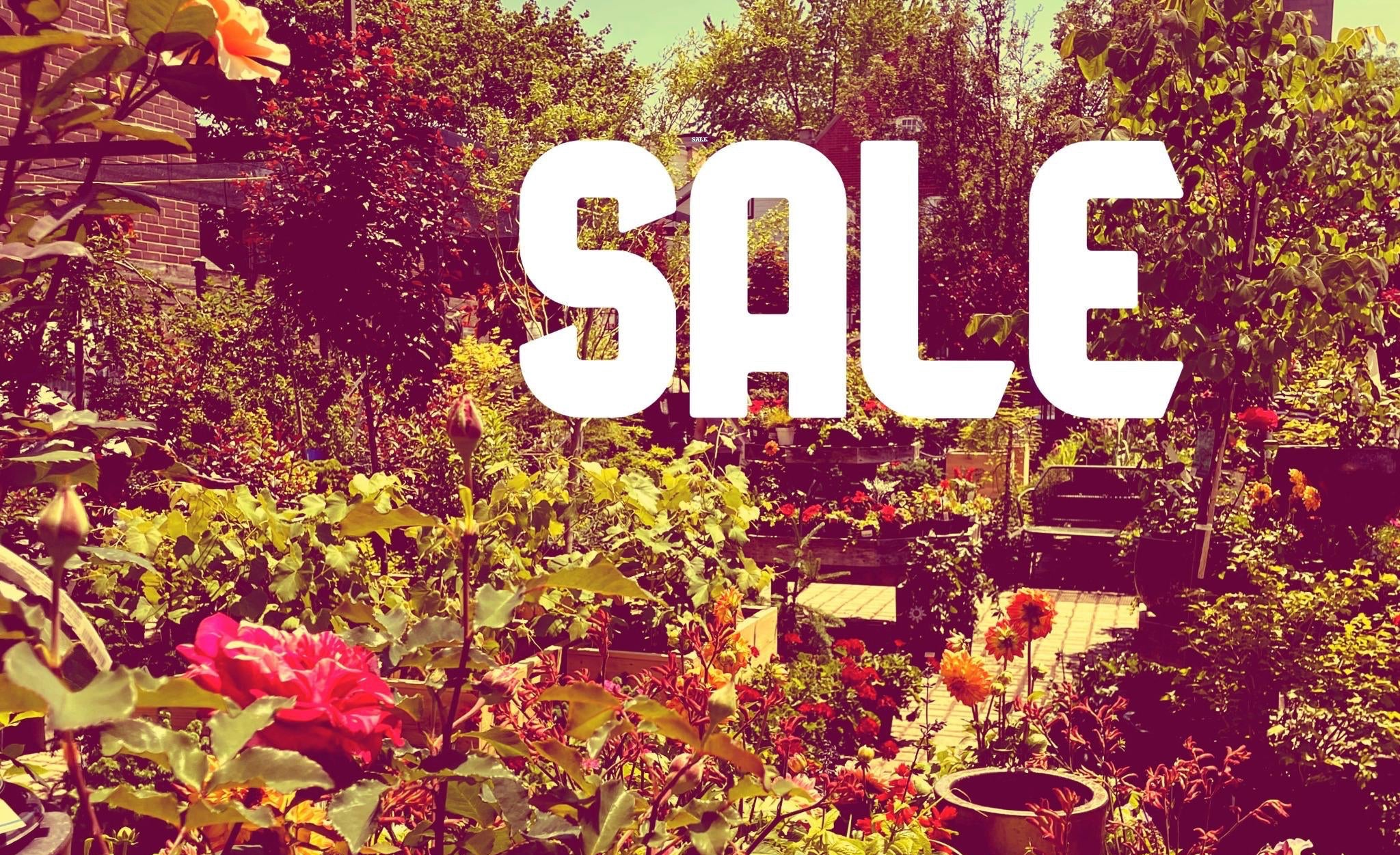 Garden with flowers and plants, featuring the word 'SALE' in white text.