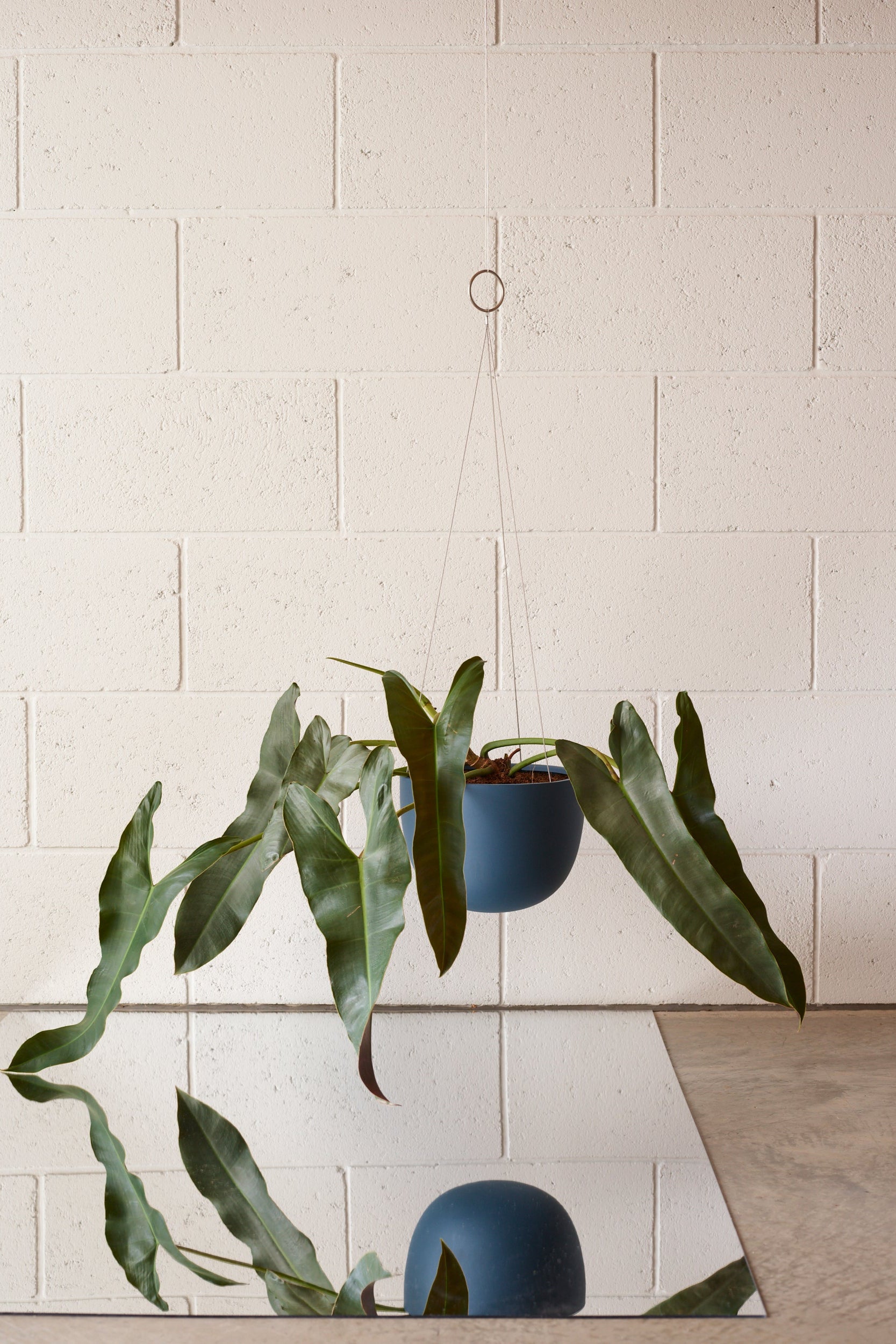Deep Blue Clifton Hanging pot by Aaron Probyn. Photo by Jake Curtis. Stylist Rebecca McEvoy