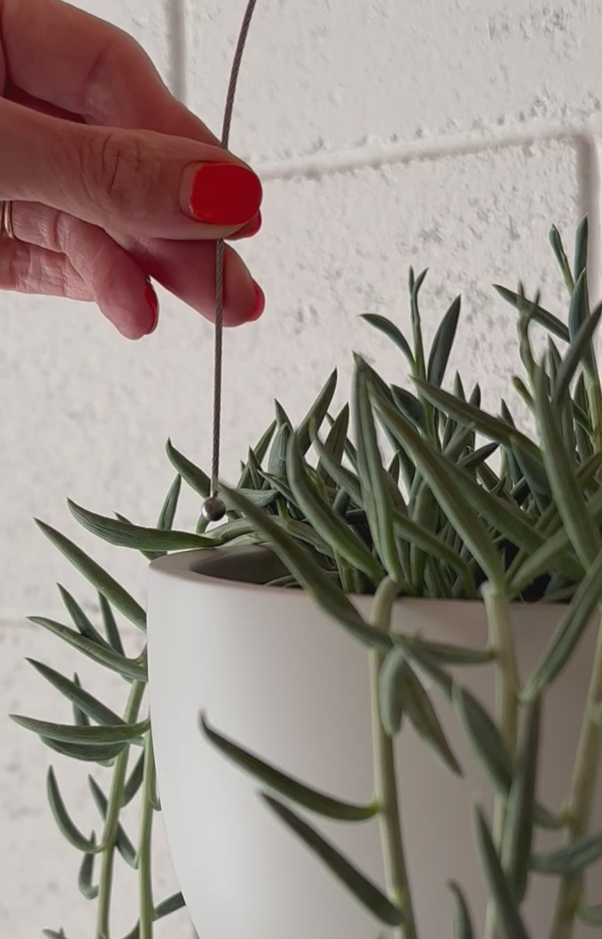 Video showing how to use the Clifton Planter hanging mechanisms ©Aaron Probyn