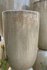 Sand  ceramic crucible planter at Sprout Home ready to be filled. 