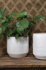 White Ray Pots with one being planted with a Monstera plant in front of a grown geometric printed wall and on a a wood table. 