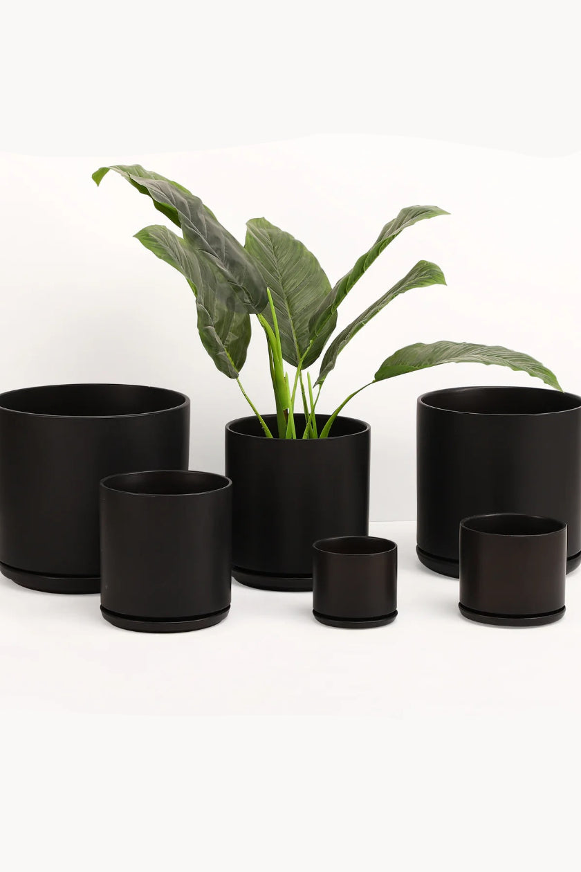 A set of black planters and saucers in front of a white wall. Shown from the front. ©LBE Design
