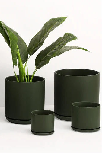 LBE Design Revival Cylinder
