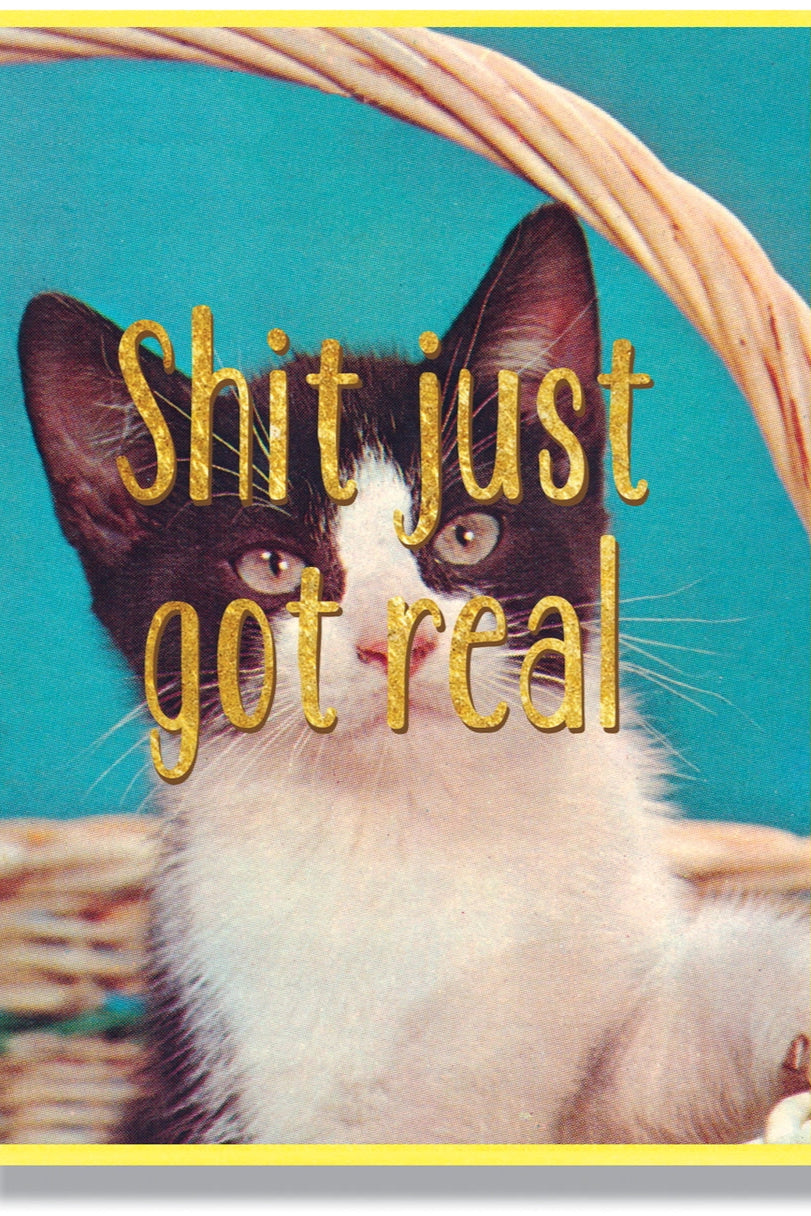 Cat in a basket with text 'Shit just got real' on a blue background on the front of the Shit Jut Got Real Card ©Smitten Kitten