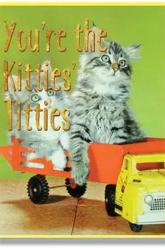 Cat in a toy car with text 'You're the kittiesitties' on a green background card ©Smitten Kitten