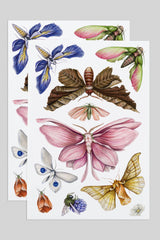 Tattly's Floraflies Tattoo Sheets showing the various moths and colors.