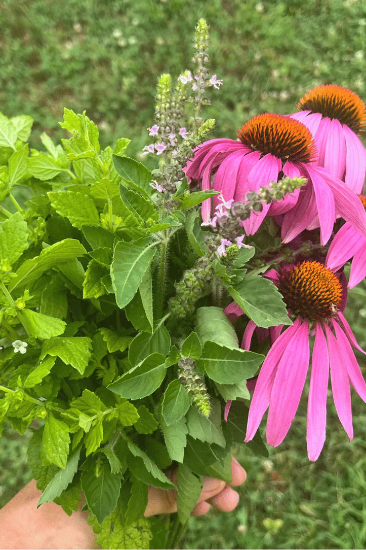 Bouquet of pink flowers and green leaves held in front of a grassy background  ©Hudson Valley Seed Co.