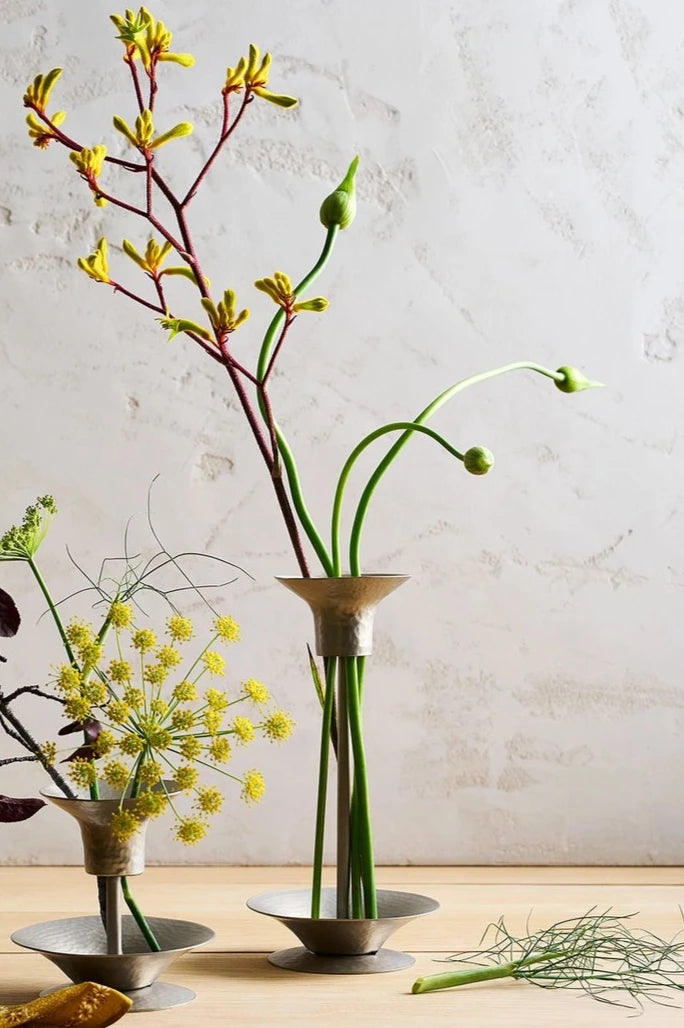 The tall Floral Stem holder filled with kangaroo paw and allium sitting next to the low holder by The Collective