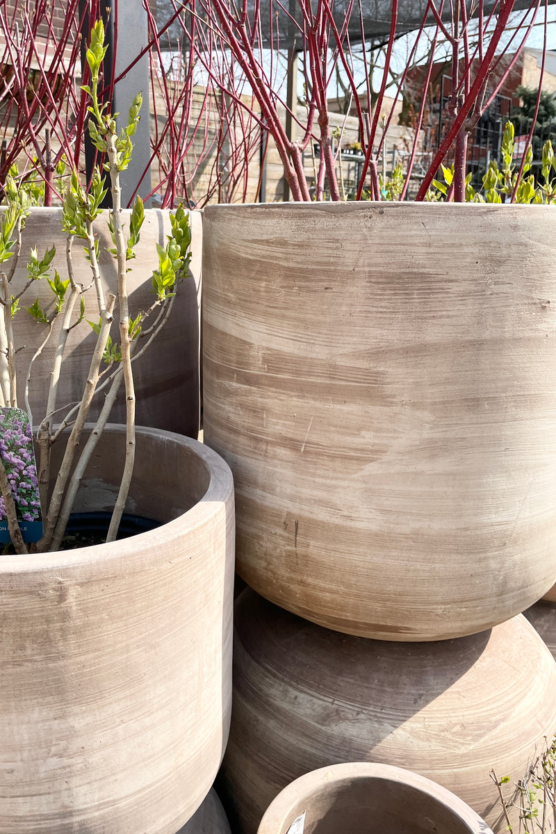 Various sized Dora Planters stacked on one another in the Sprout Home yard. 