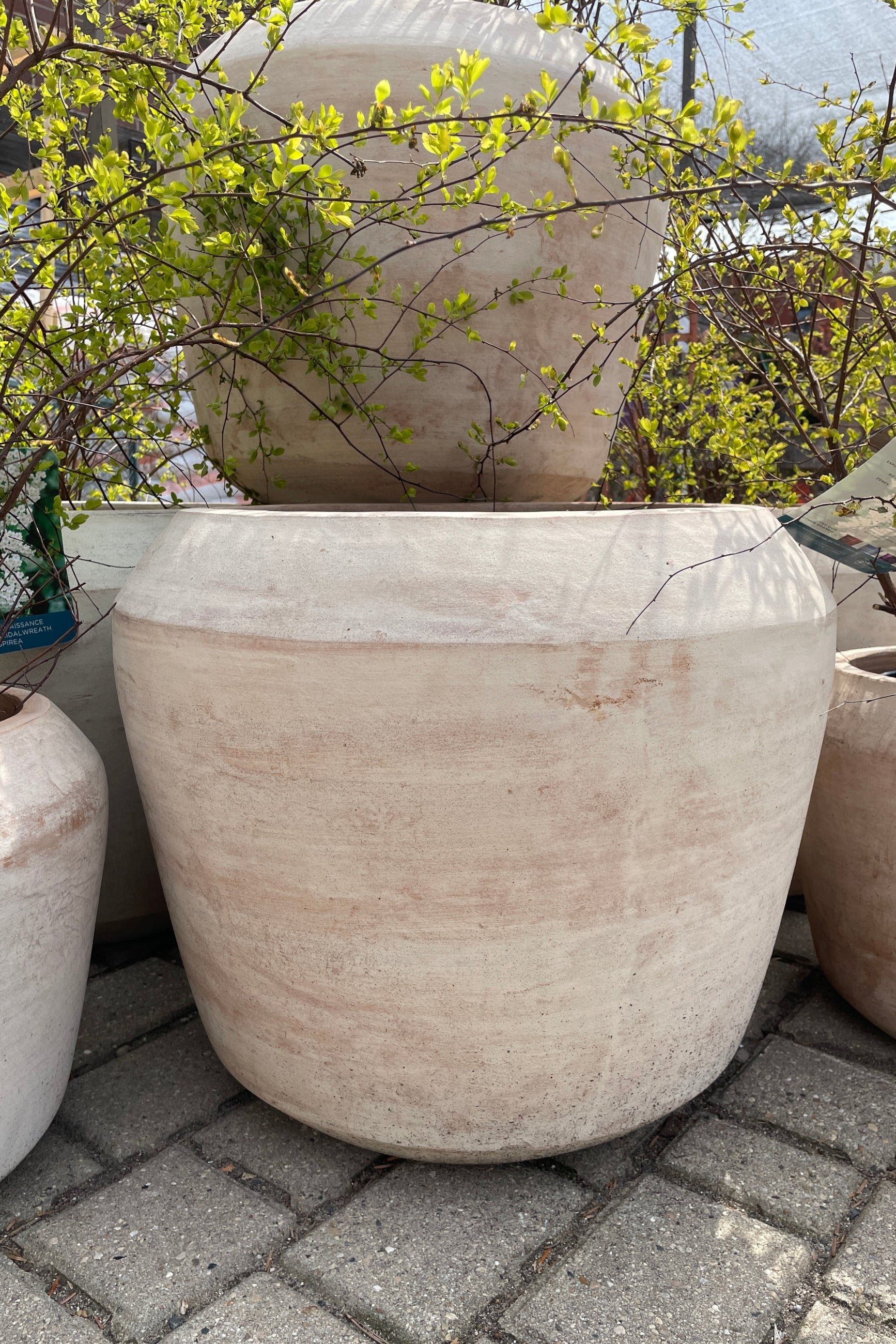 Cape Unglazed planter Large the the Sprout Home yard. ©Sprout Home