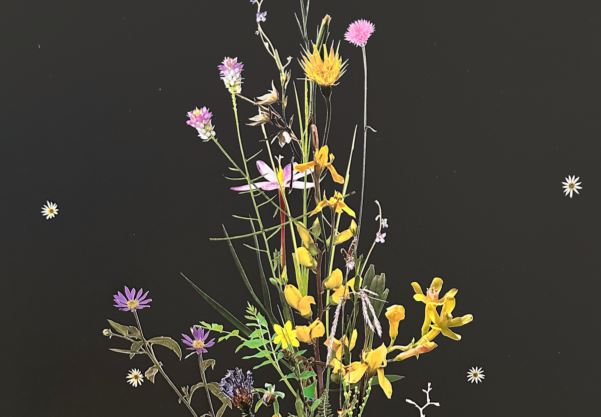 Detail of Stephen Eichhorn's All the Life (that disappeared), 2026. Collage on acrylic coated panel, 36 x 72 inches.