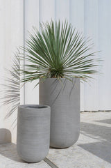 Pottery Pots Cody High Dark Grey Horizontal Ridged Pot  with an aloe planted inside and a smaller Cody pot empty next to it. 