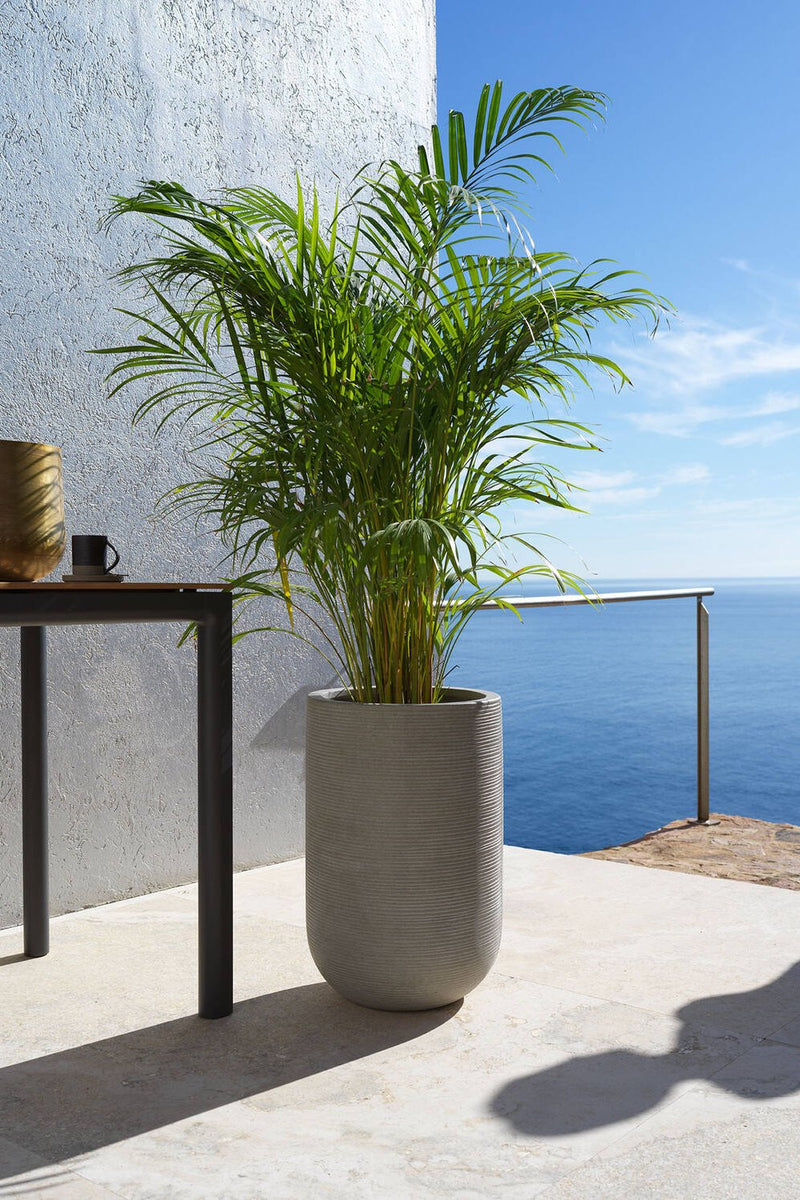 Pottery Pots Cody High Dark Grey Horizontal Ridged Pot  with a palm inside and sitting on a deck with water in the background.