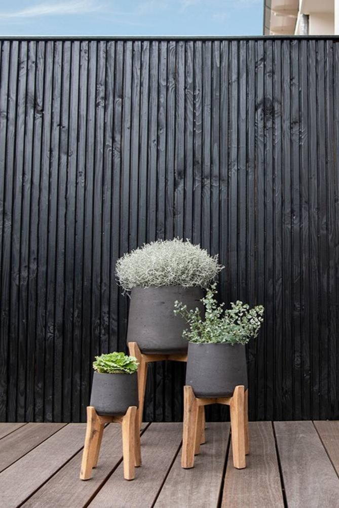 Three different sizes Black Washed Patt Pot with High Feet by Pottery Pots and potted against a black wood wall