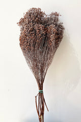 A bunch of preserved brooms in a dusty rust color.