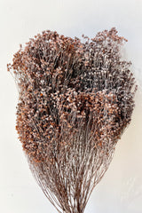 Brooms preserved in a dusty rust color bunch against a white wall. 