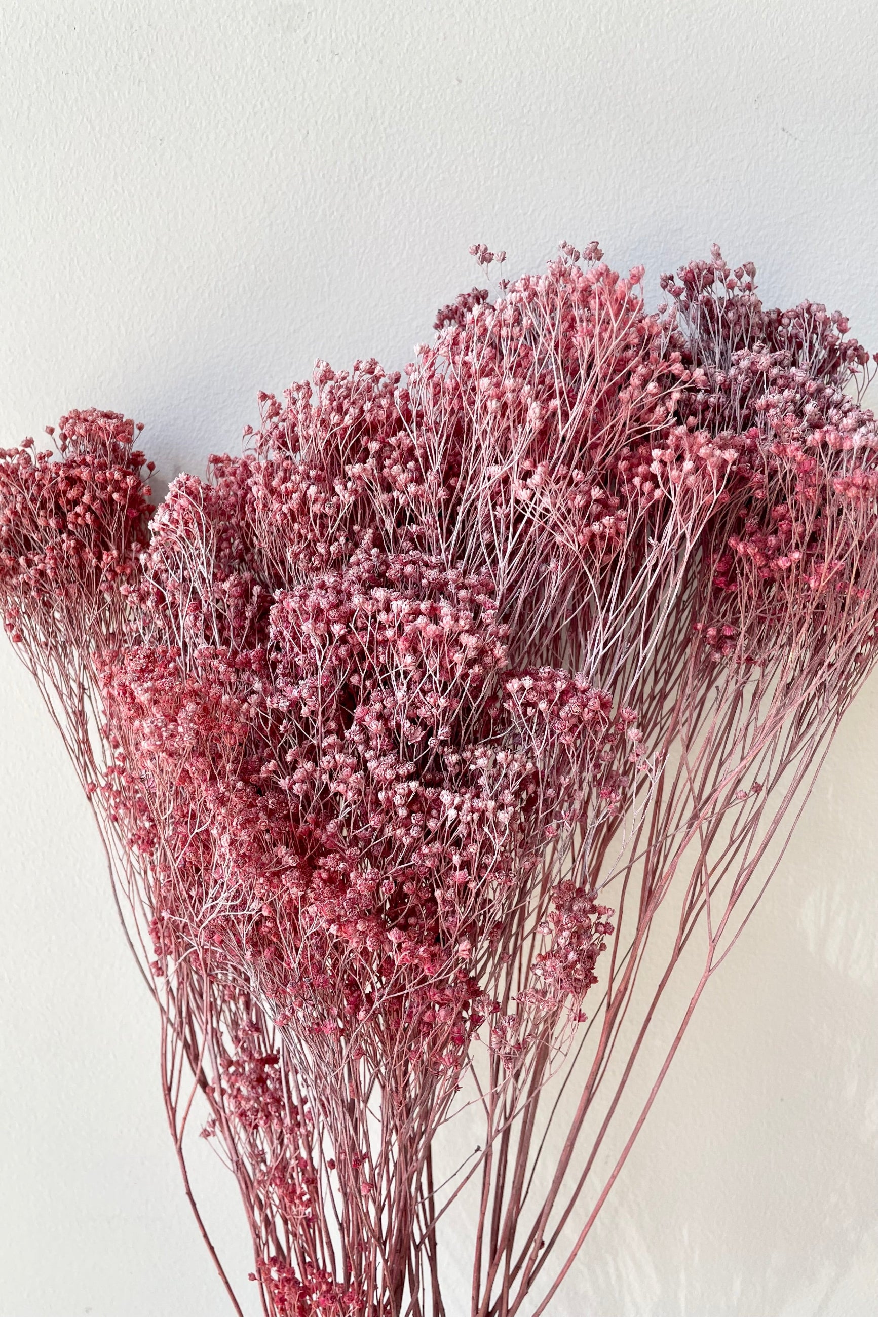 Brooms preserved in a dusty antique rose color against a white wall. ©Sprout Home