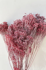 Brooms preserved in a dusty antique rose color against a white wall.