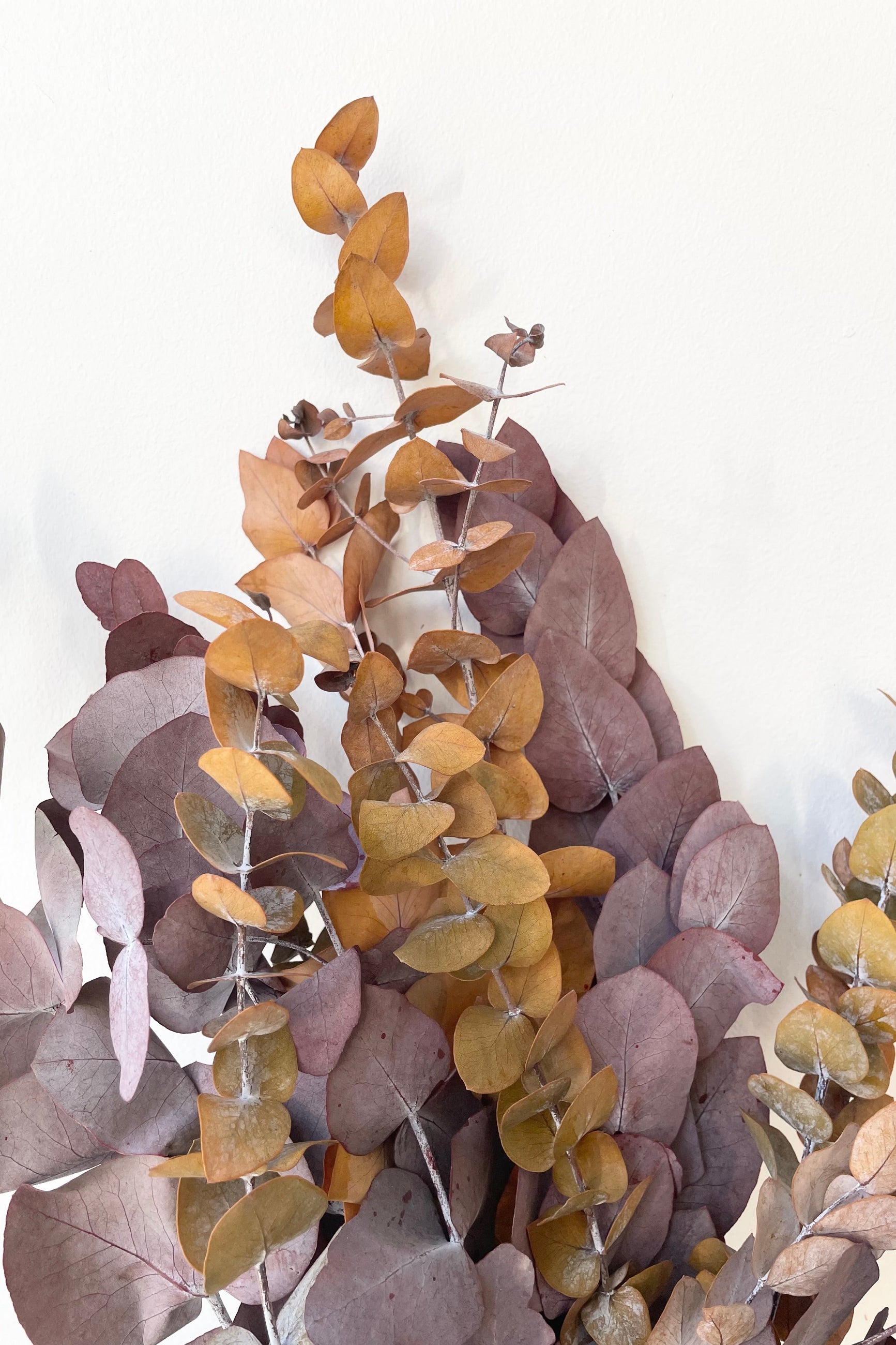 A detail shot showing the variation of color in a dyed mocha bunch of spiral eucalyptus ©Sprout Home