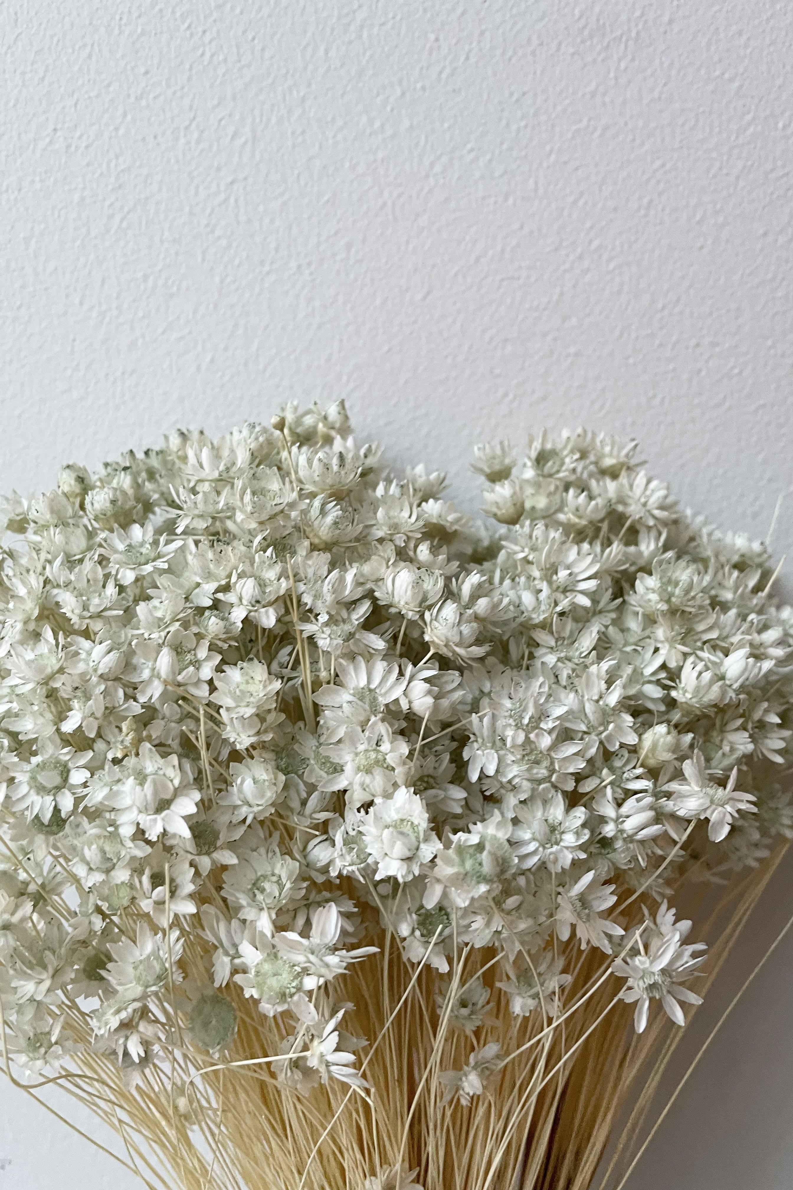 A detailed look at the Glixia Mint Pastel Color Preserved Bunch