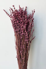 Bunch of preserved fuchsia dyed lavandula against a white wall. 