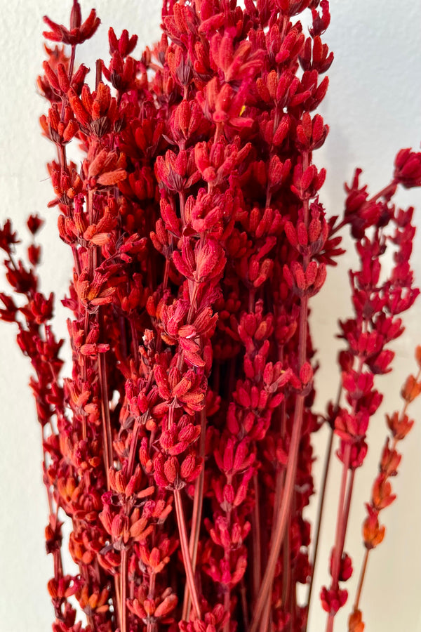 A close up picture of the red dyed and preserved lavender stems in one bunch.