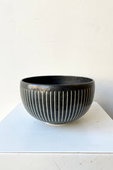 The Black Horsetails Bowl extra large against a white wall at Sprout Home.