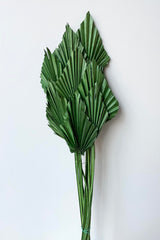 The Palm Spear Dark Green Color Preserved Bunch sits against a white backdrop.