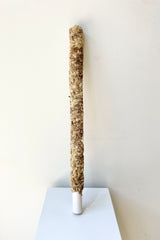 Moss Pole 24" against a white wall