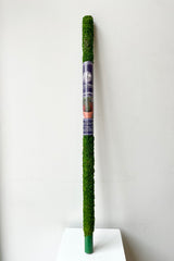 Moss Pole green 36" against a white wall