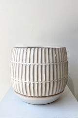 The 6" Ramos planter with saucer against a white wall at Sprout Home. 
