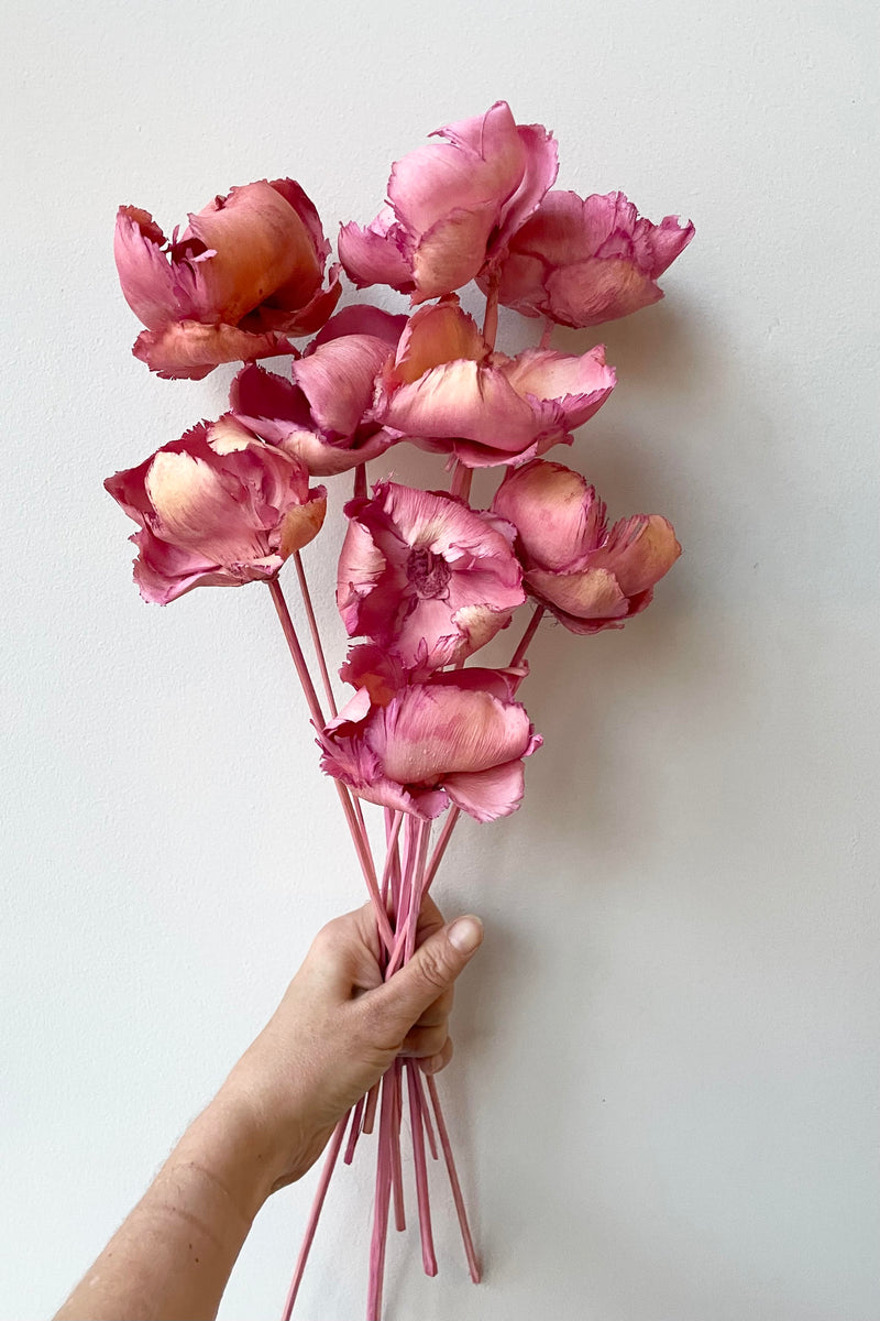 The Palm Cap Pink Pastel Preserved Bunch is held against a white backdrop.