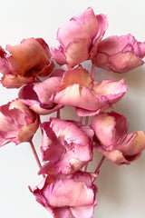 A detailed look at the Palm Cap Pink Pastel Preserved Bunch.