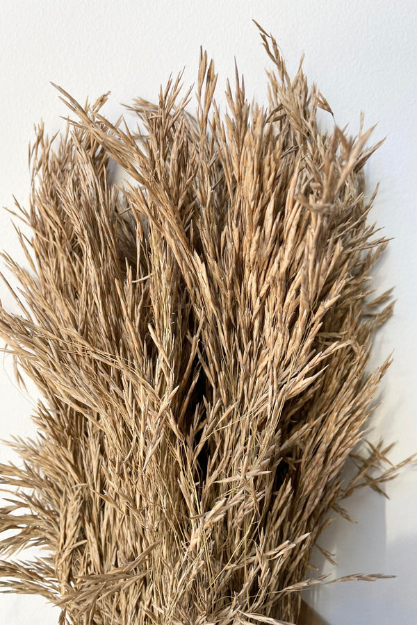 A detailed look at the Andre Kise Natural Preserved bunch against a white backdrop.