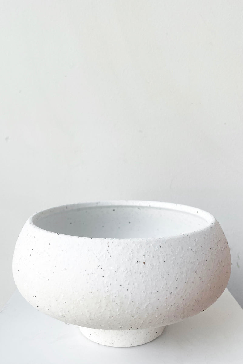 A frontal view of Cruz Stoneware Cachepot against white backdrop