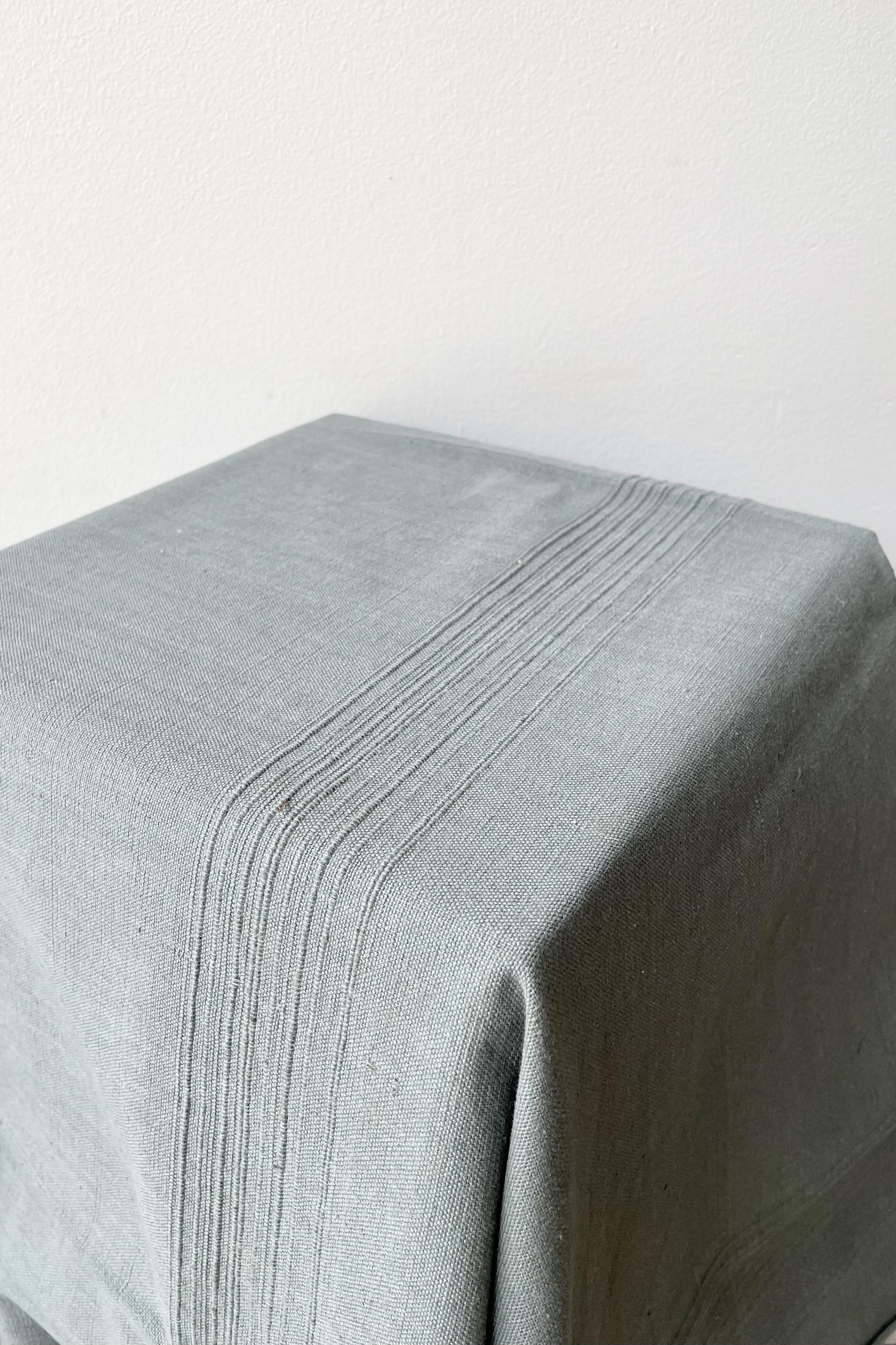 The Tablecloth mushroom small sits on a surface against a white backdrop.