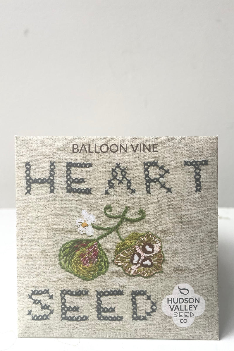 Balloon Vine art Seed art pack showing the front of the packaging. 