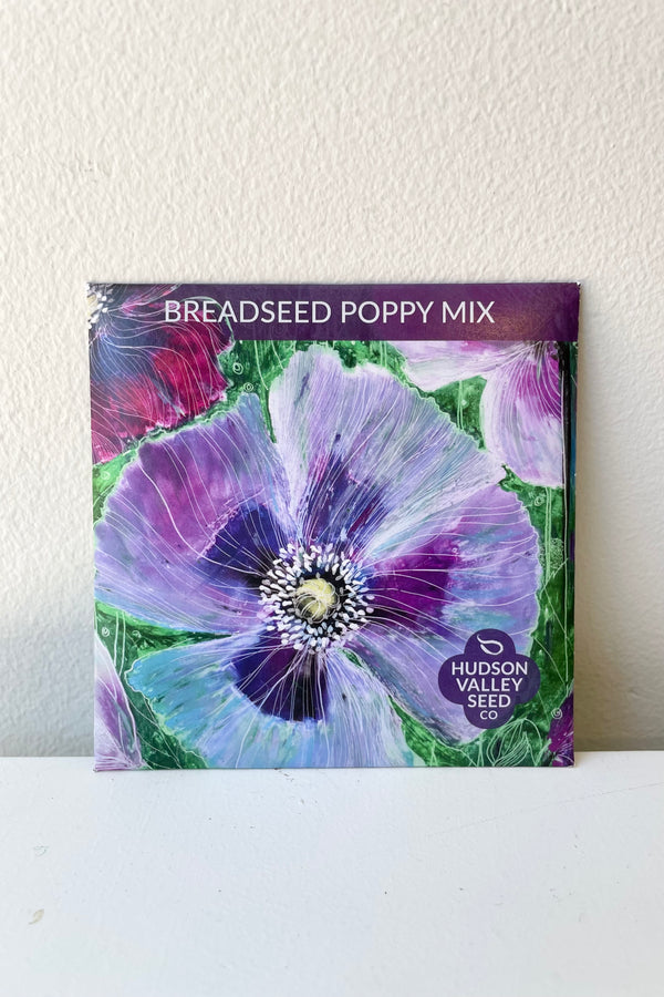 Breadseed Poppy Mixart pack seeds against a white wall