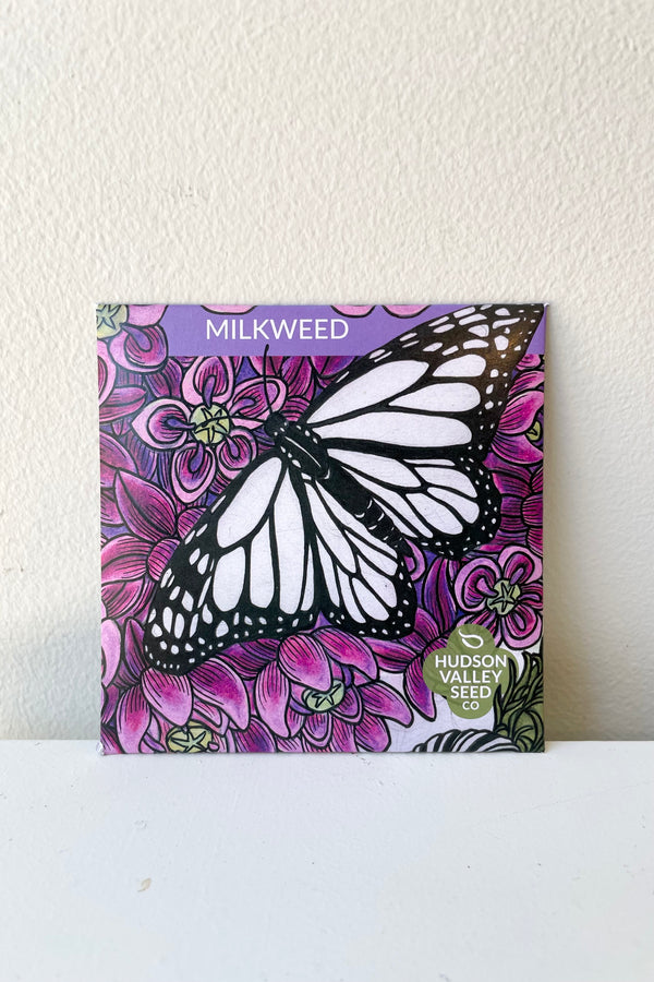 Milkweed art pack seeds against a white wall