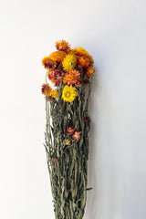 A bunch of orange colored preserved helichrysum against a white wall. 