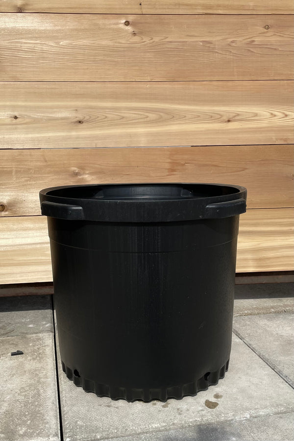 An 18" black growers pot shown against a cedar wall. 