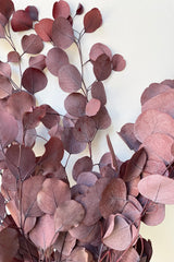 detail picture of the rounded leaves of the dyed burgundy and preserved eucalyptus populus.