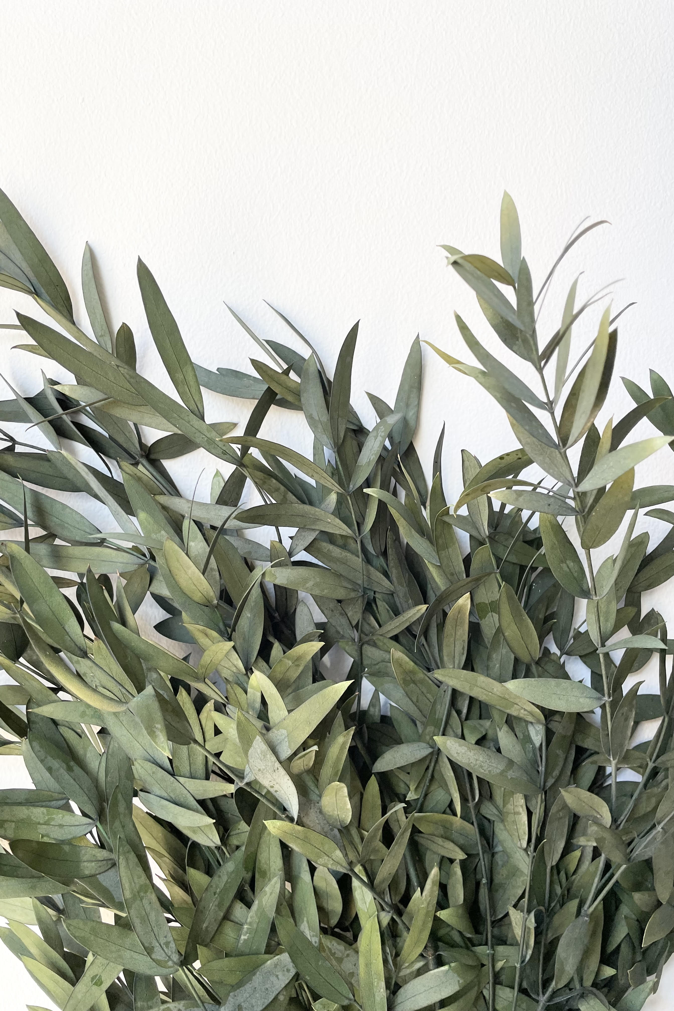 A detailed shot of the Eucalyptus Parvifolia Natural Color Preserved Bunch.