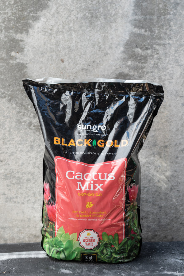 A bag of 8 quart Black Gold Cactus potting mix against a grey wall. 